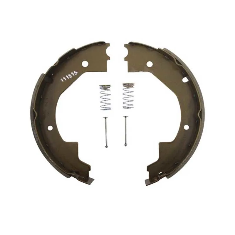 10" electric brake shoe (Dexter)