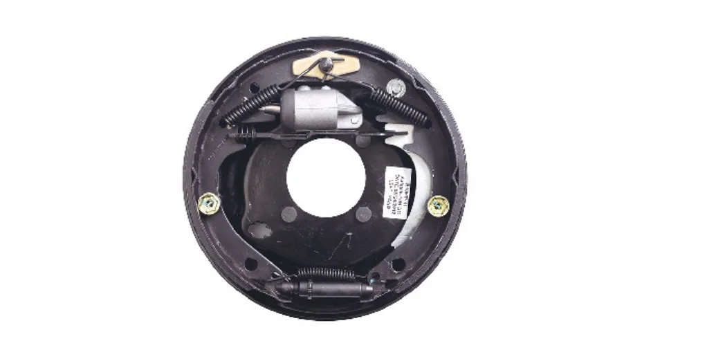 Brake Assembly 10 in Hydraulic Brake with Parking Lever